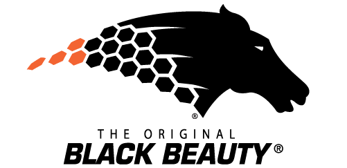 The original Black beauty